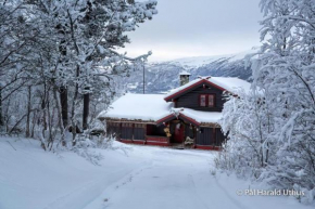Large cabin with spectacular views in Geilo